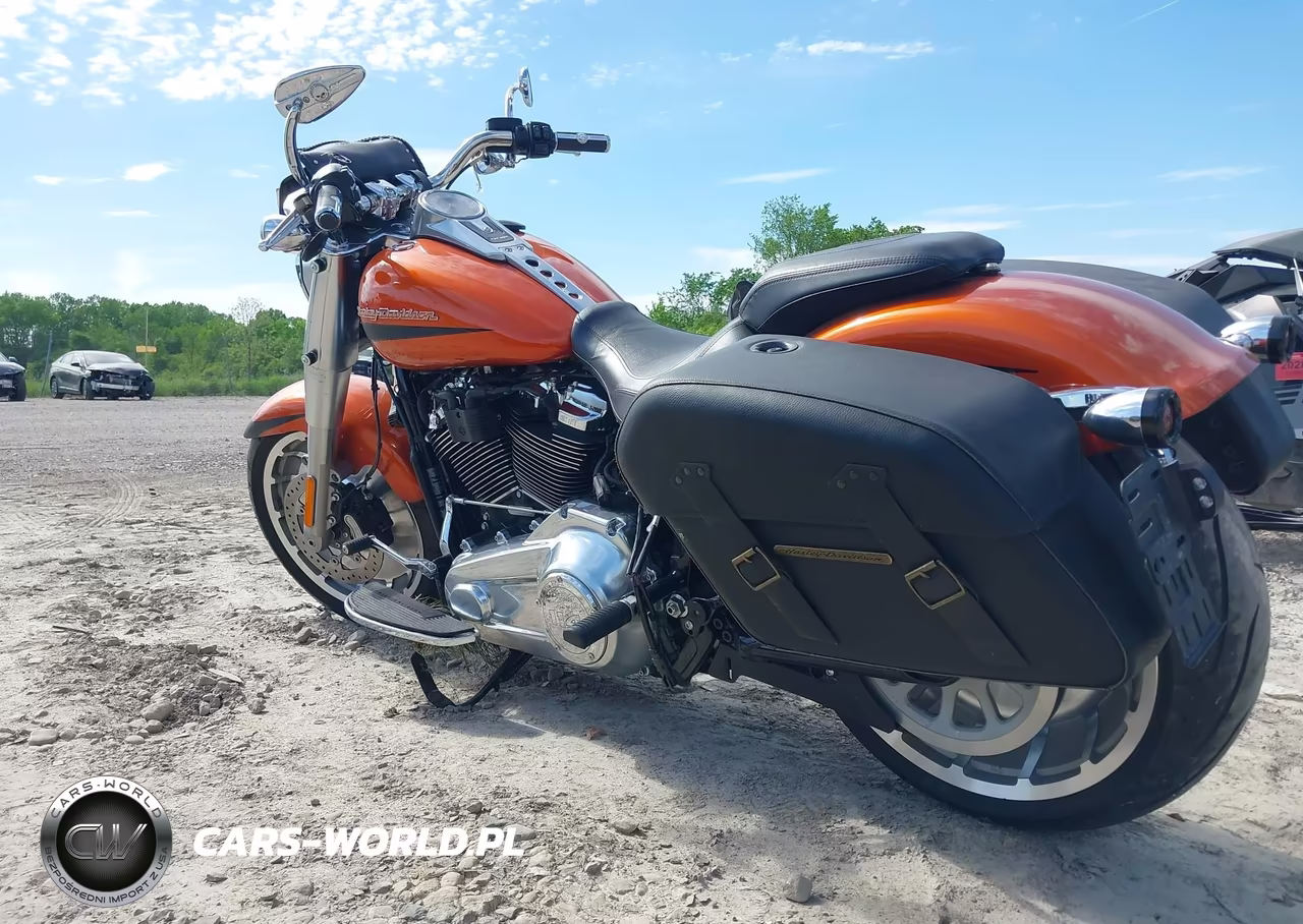 2019 Harley-Davidson Flfbs VIN:1HD1YGK24KB020651 - 3