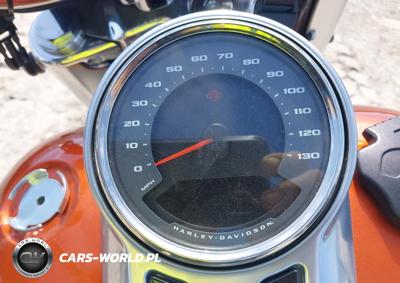 2019 Harley-Davidson Flfbs VIN:1HD1YGK24KB020651 - 7