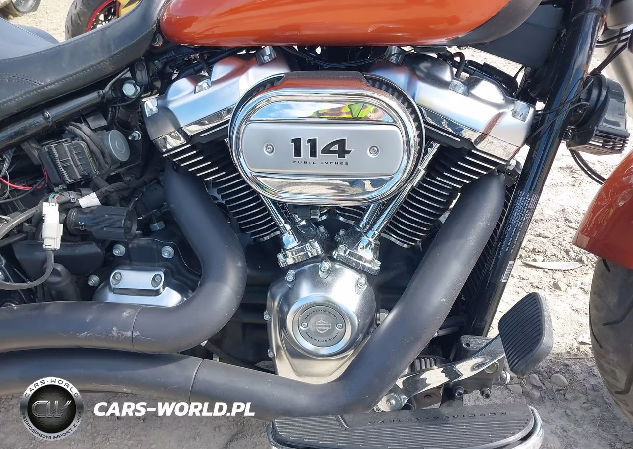 2019 Harley-Davidson Flfbs VIN:1HD1YGK24KB020651 - 8