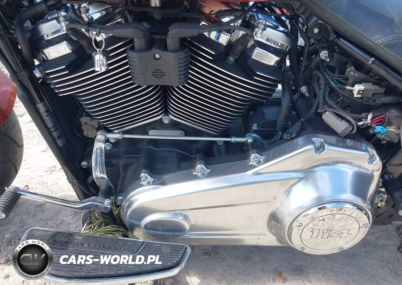 2019 Harley-Davidson Flfbs VIN:1HD1YGK24KB020651 - 9