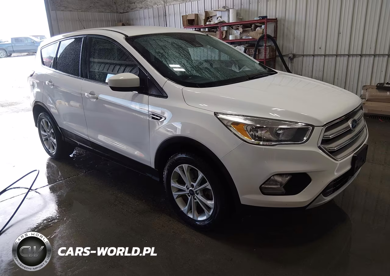 2019 Ford Escape Se