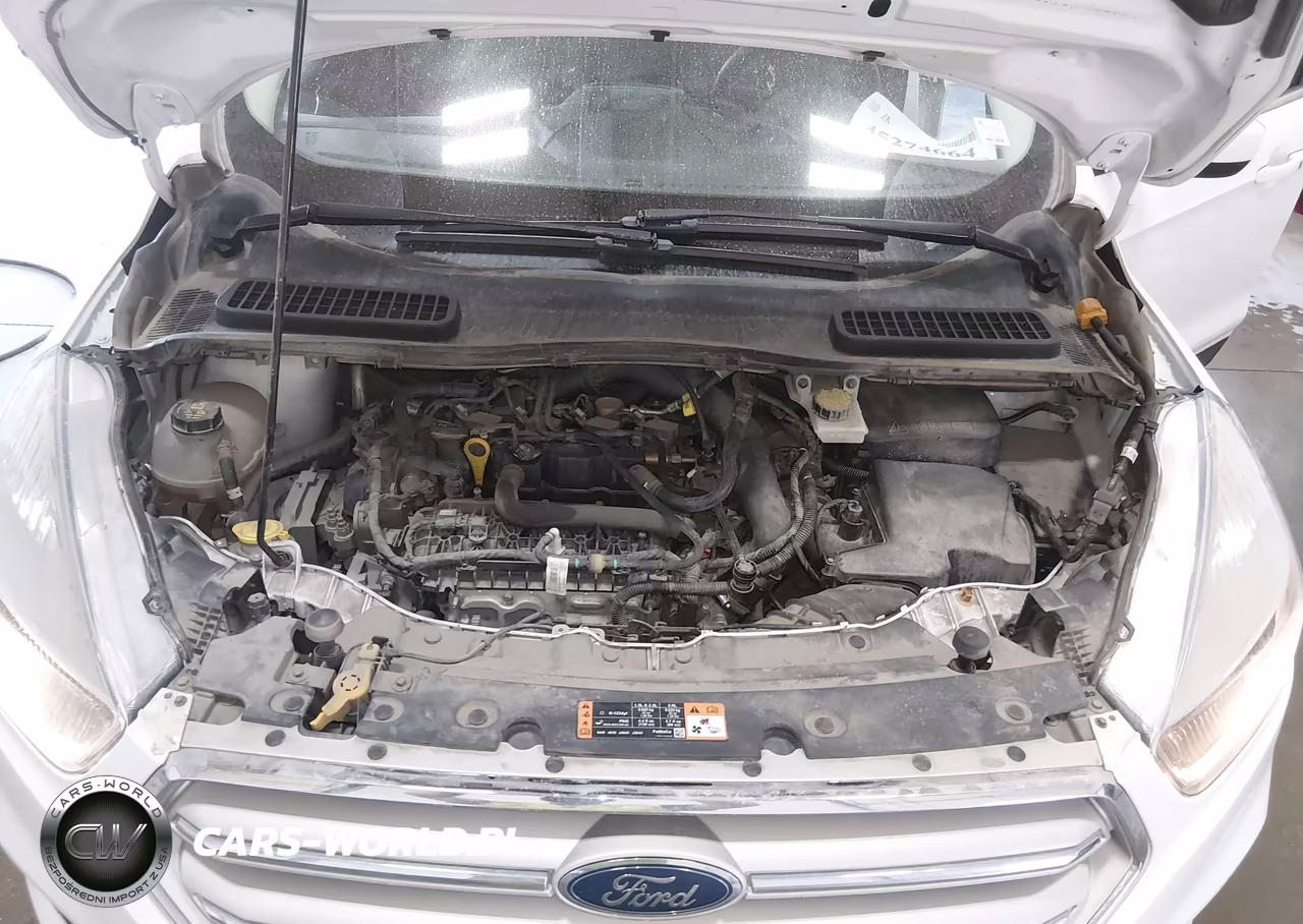 2019 Ford Escape Se VIN:1FMCU9GD2KUB83858 - 10