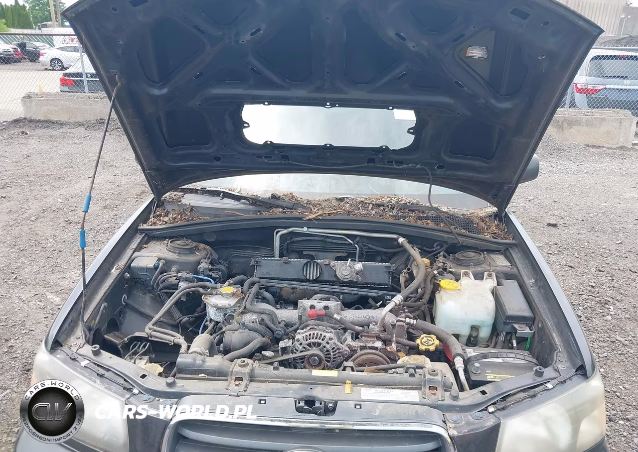 2004 Subaru Forester 2.5Xt VIN:JF1SG69674H732556 - 10