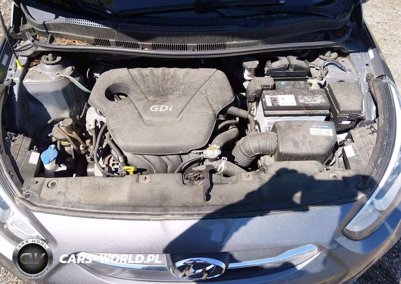 2015 Hyundai Accent Gs VIN:KMHCT5AE5FU226172 - 10