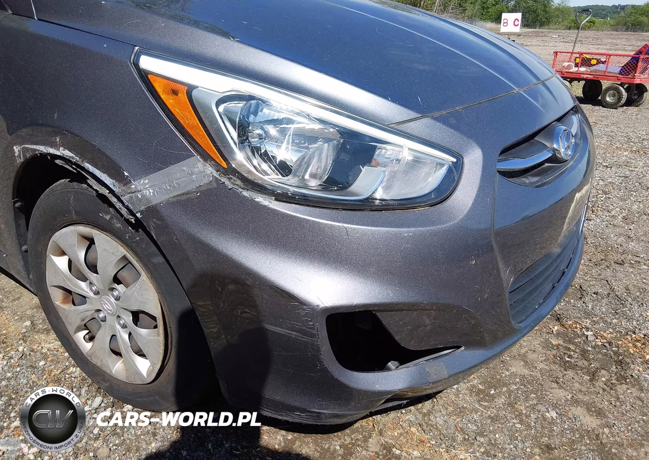 2015 Hyundai Accent Gs VIN:KMHCT5AE5FU226172 - 6