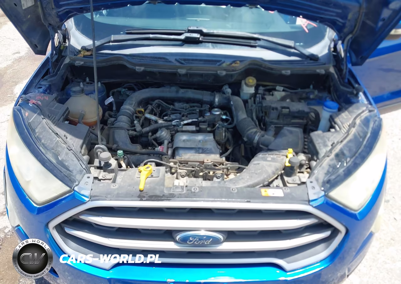 2018 Ford Ecosport Se VIN:MAJ3P1TE5JC247543 - 10