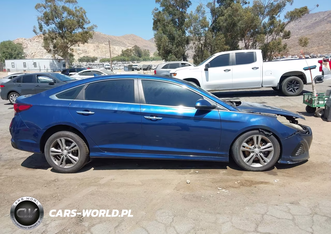 2019 Hyundai Sonata Sel VIN:5NPE34AF9KH768489 - 12