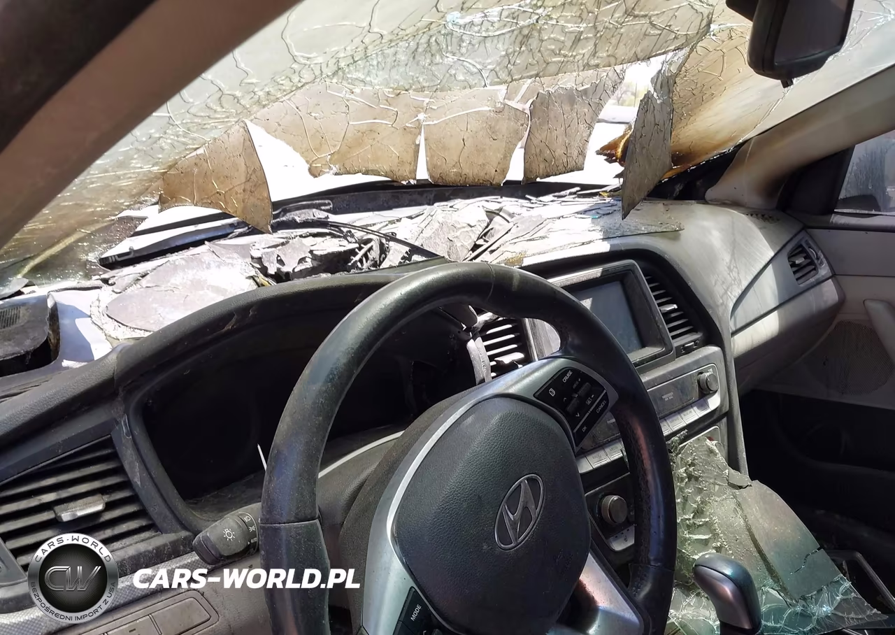 2019 Hyundai Sonata Sel VIN:5NPE34AF9KH768489 - 6