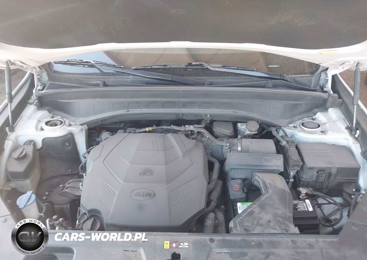 2020 Kia Telluride S VIN:5XYP6DHC2LG017898 - 10