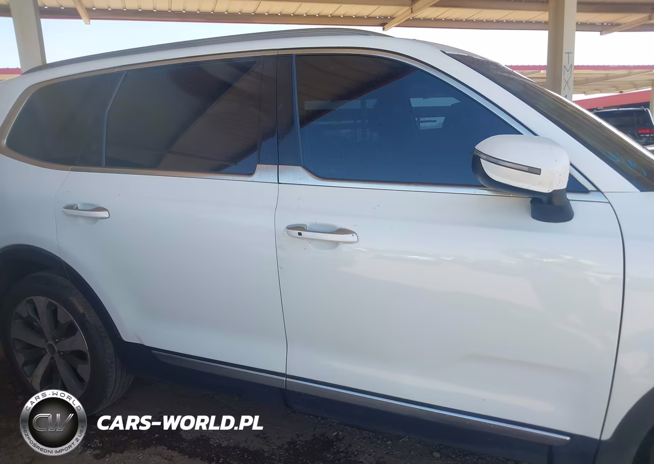 2020 Kia Telluride S VIN:5XYP6DHC2LG017898 - 13