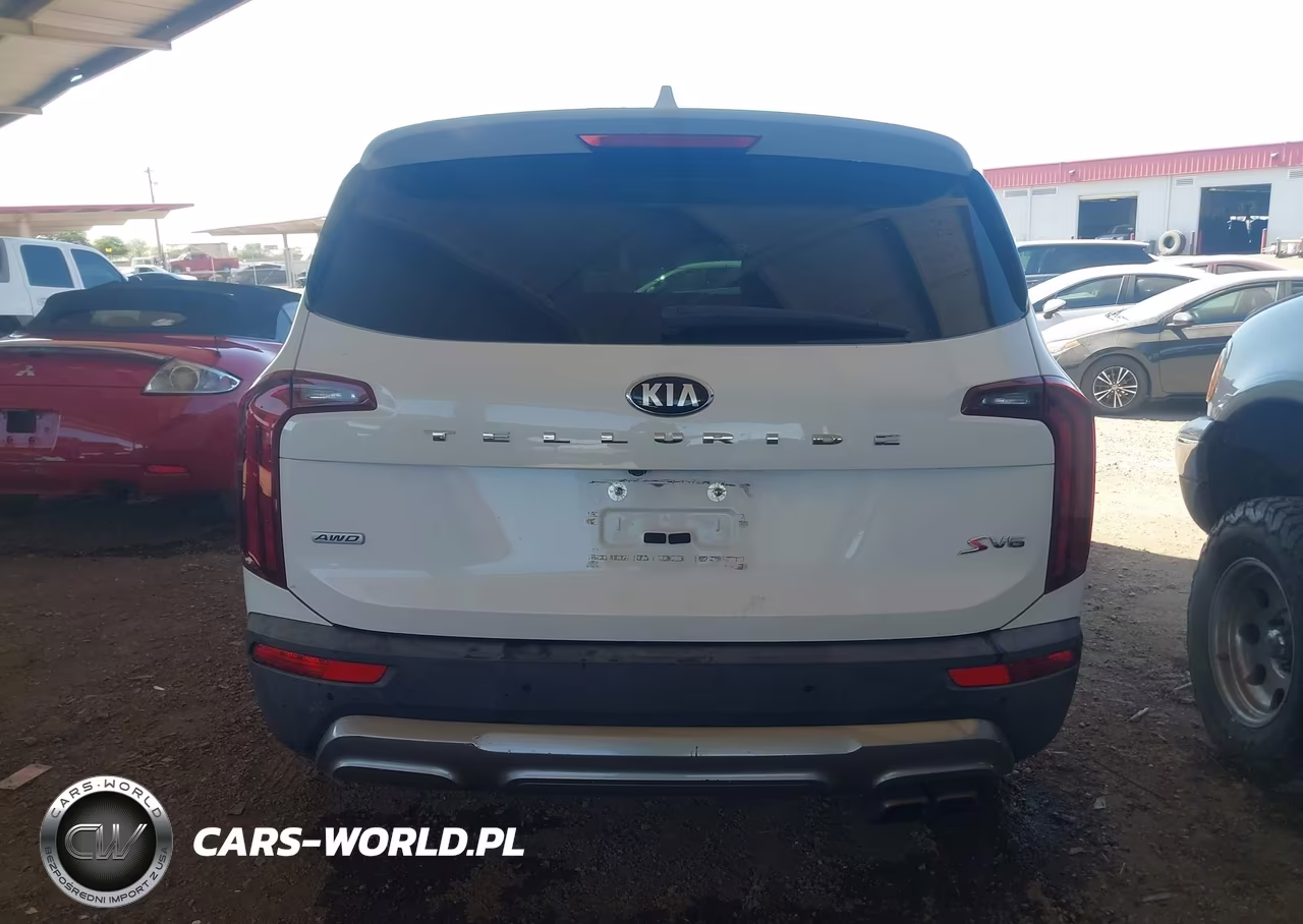 2020 Kia Telluride S VIN:5XYP6DHC2LG017898 - 16