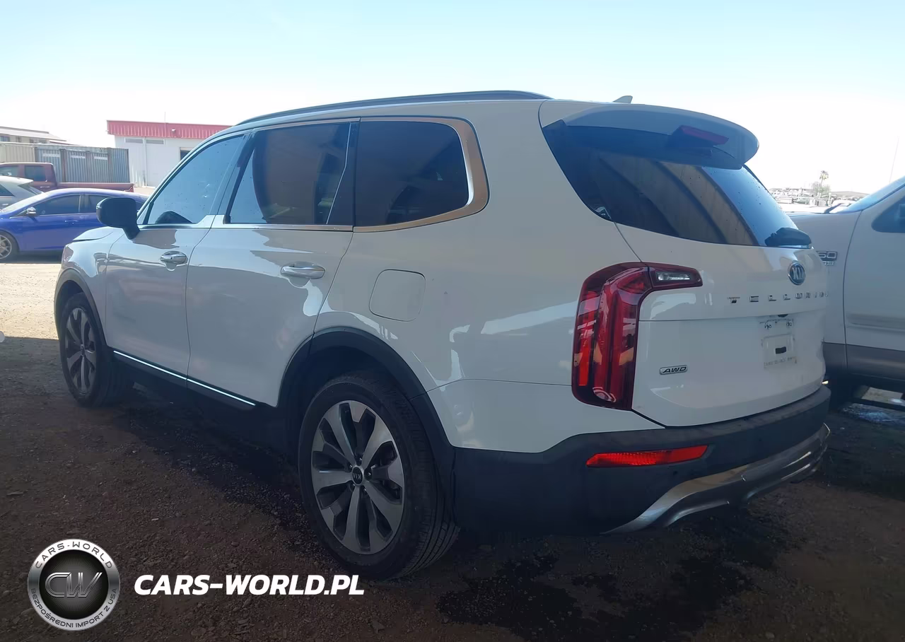 2020 Kia Telluride S VIN:5XYP6DHC2LG017898 - 3