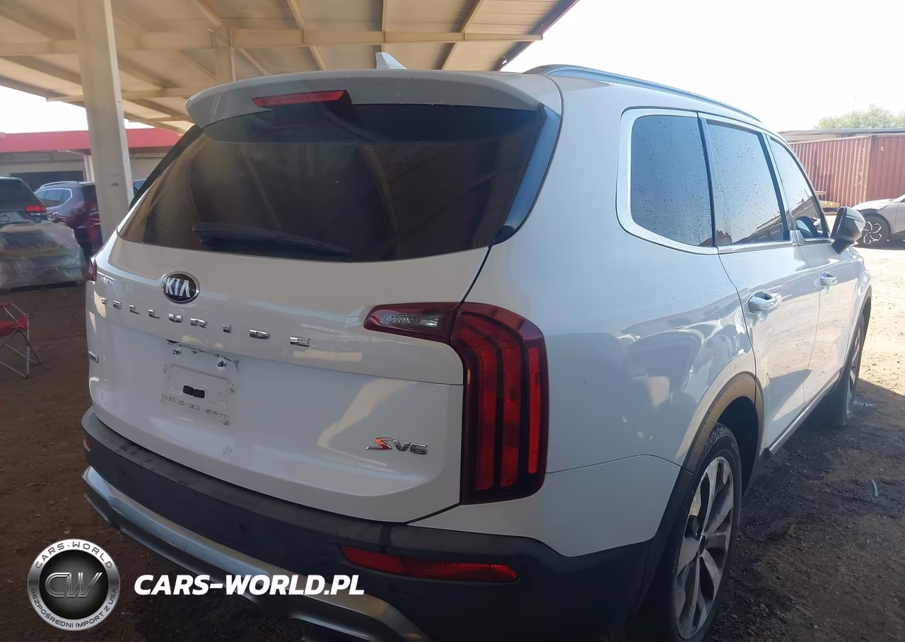 2020 Kia Telluride S VIN:5XYP6DHC2LG017898 - 4