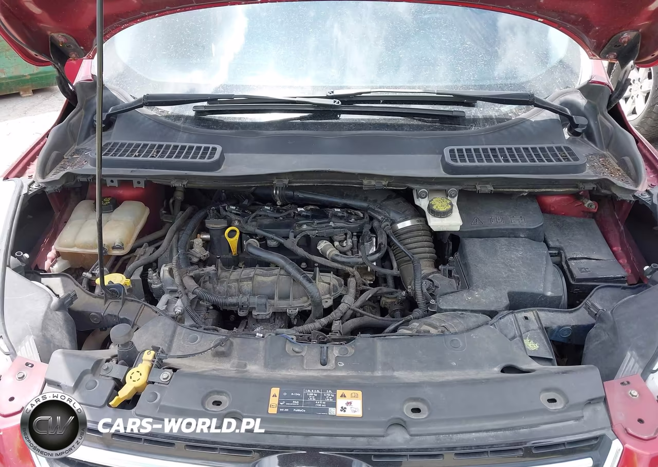 2016 Ford Escape Se VIN:1FMCU0GX0GUA66180 - 10