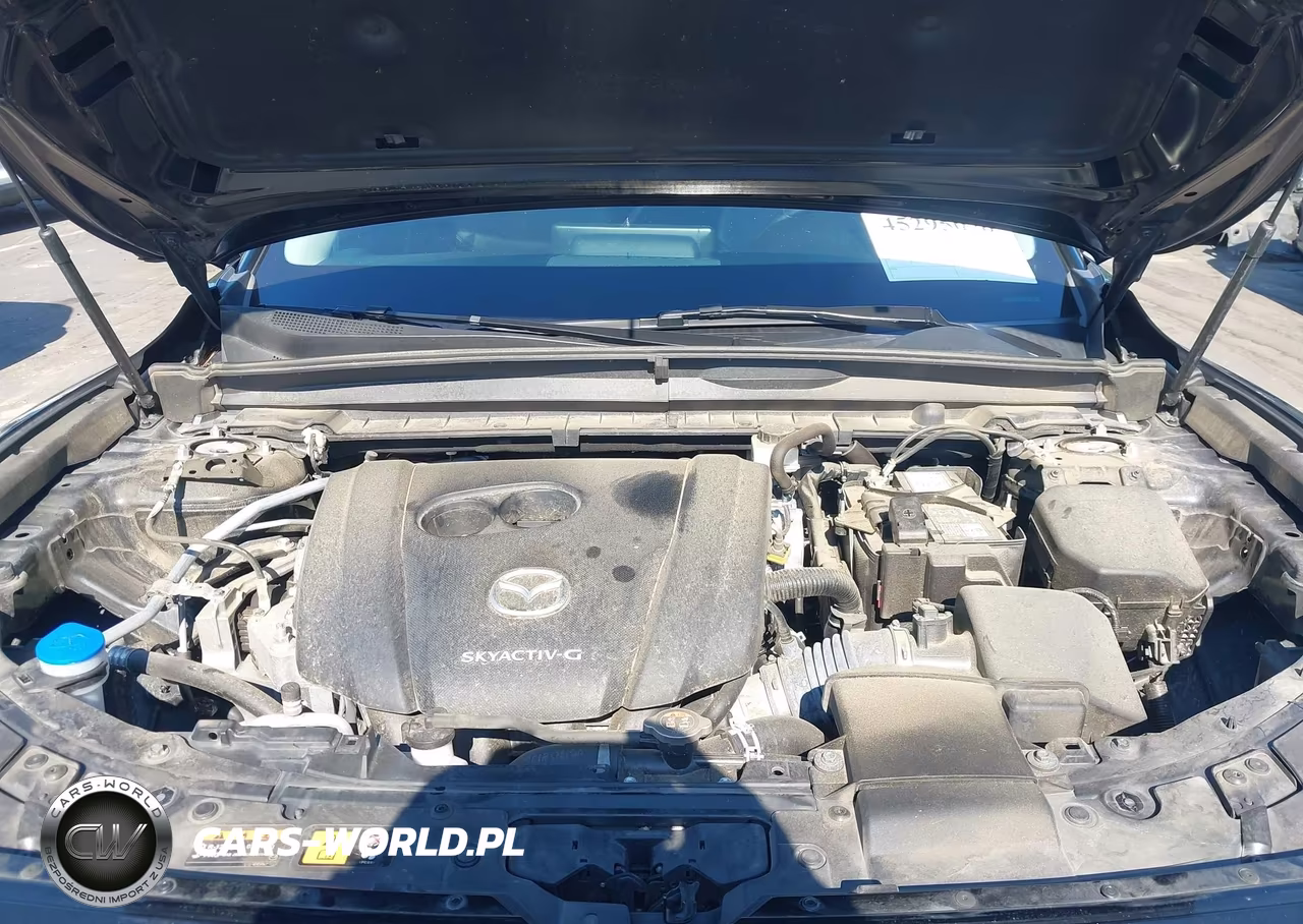 2024 Mazda Cx-50 2.5 S Preferred VIN:7MMVABBM3RN171856 - 10