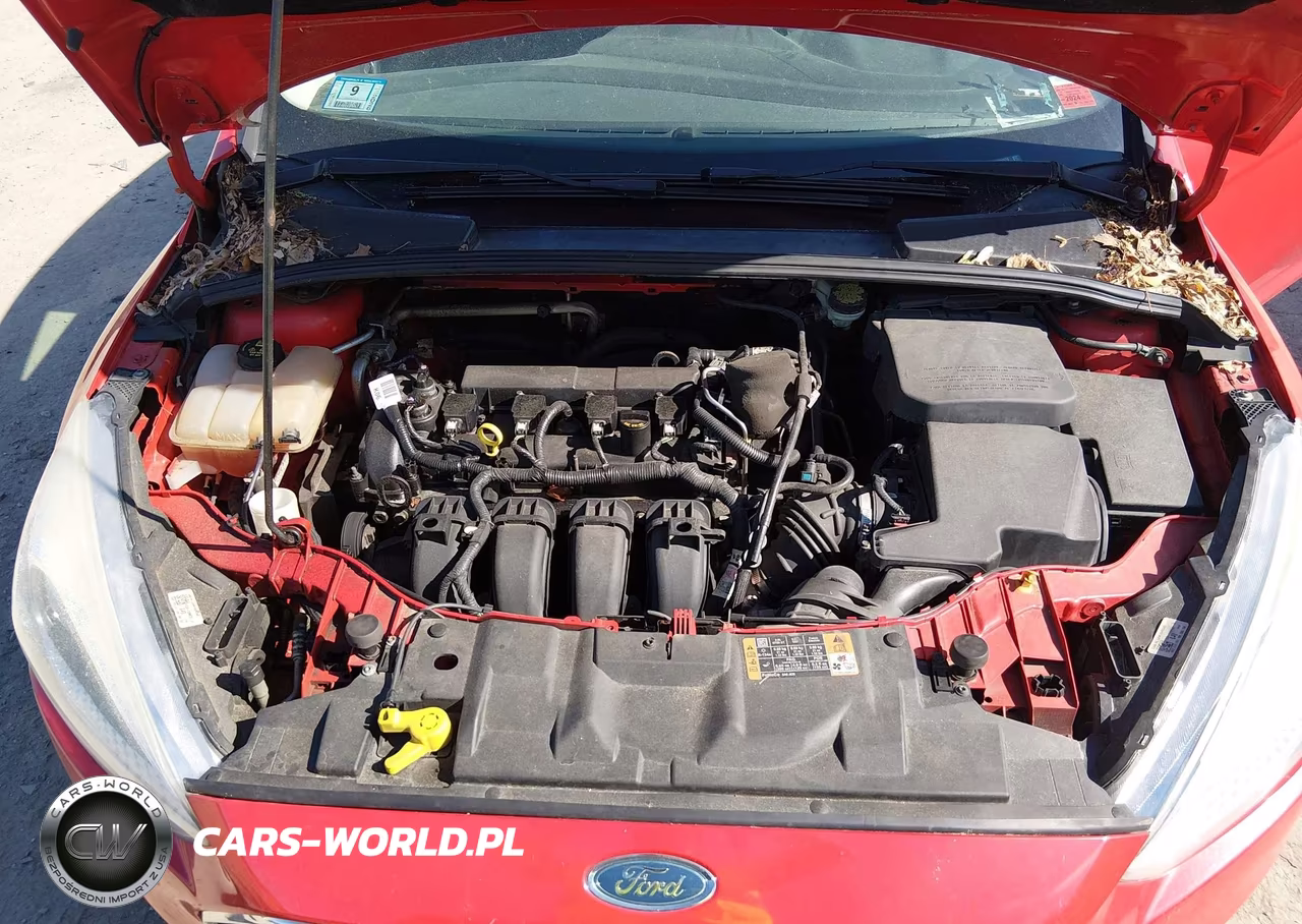 2015 Ford Focus Se VIN:1FADP3K28FL243128 - 10