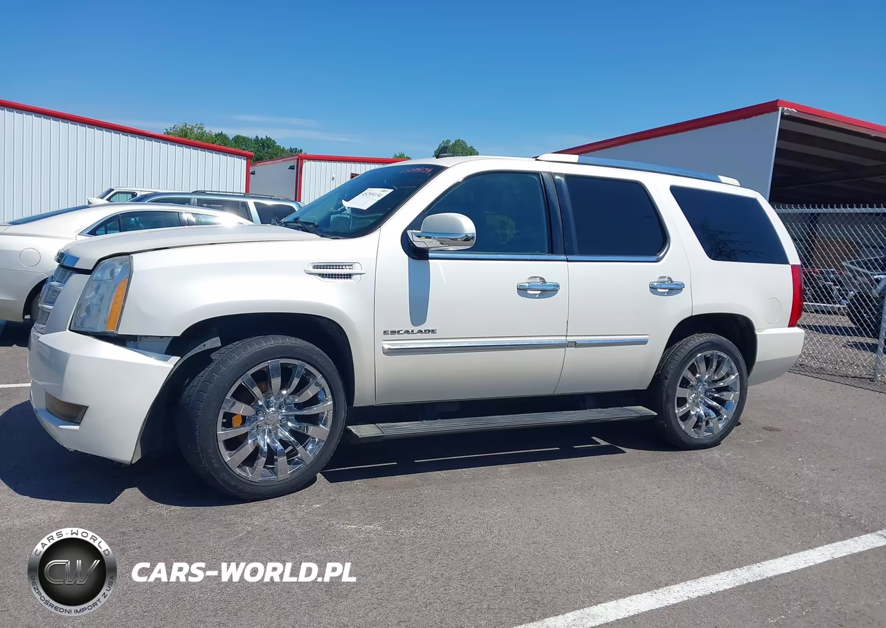2011 Cadillac Escalade Platinum Edition VIN:1GYS4DEF8BR190253 - 14