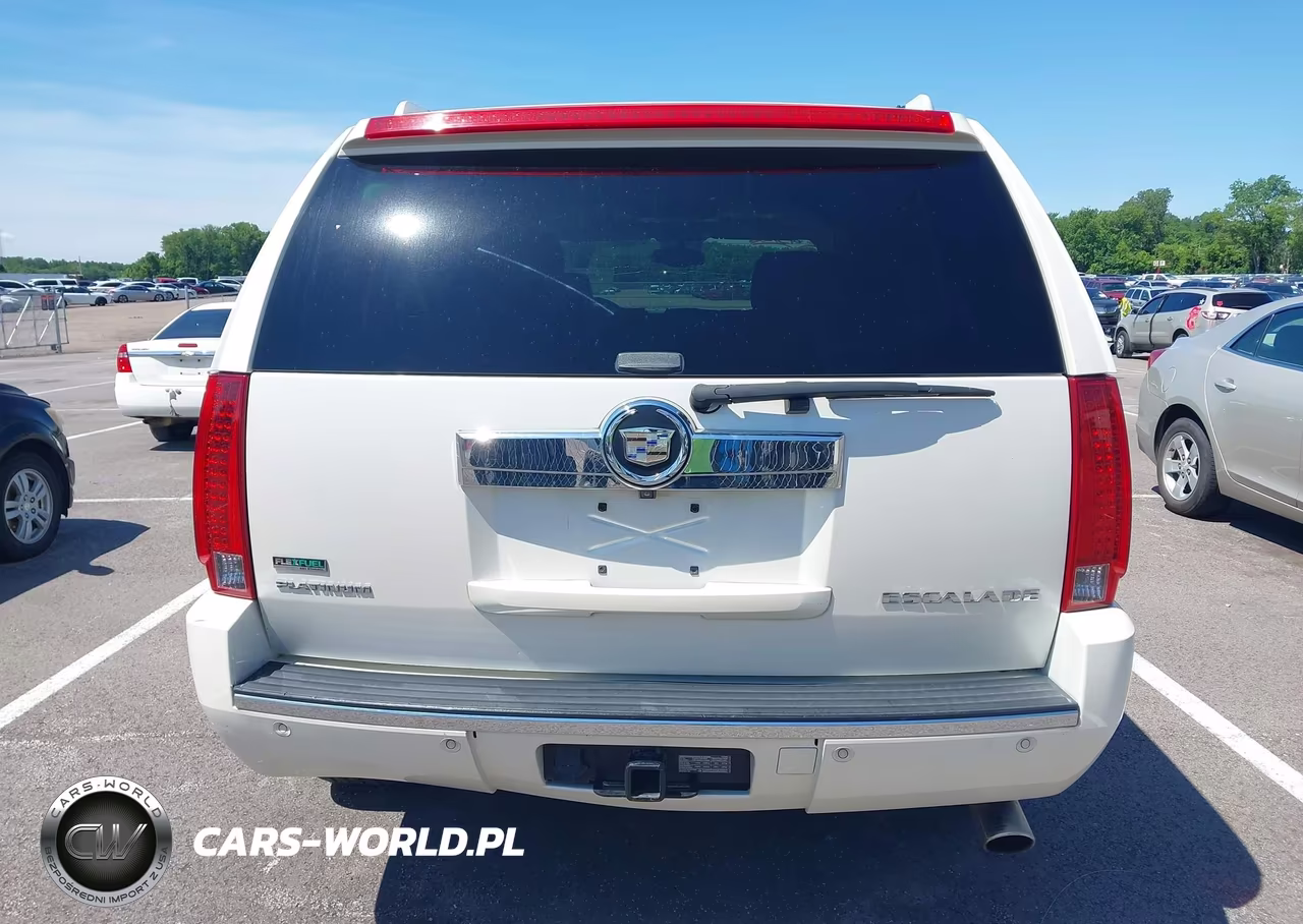 2011 Cadillac Escalade Platinum Edition VIN:1GYS4DEF8BR190253 - 16