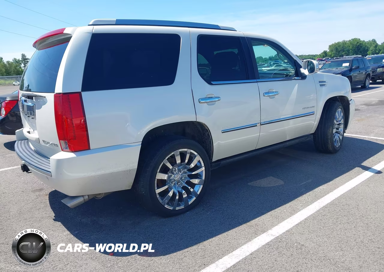 2011 Cadillac Escalade Platinum Edition VIN:1GYS4DEF8BR190253 - 4