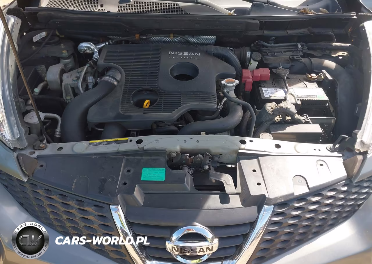 2011 Nissan Juke Sv VIN:JN8AF5MR5BT013129 - 10