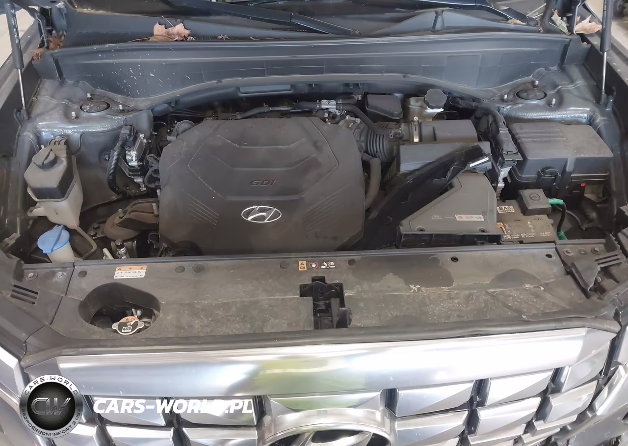 2024 Hyundai Palisade Calligraphy VIN:KM8R7DGE7RU647461 - 10