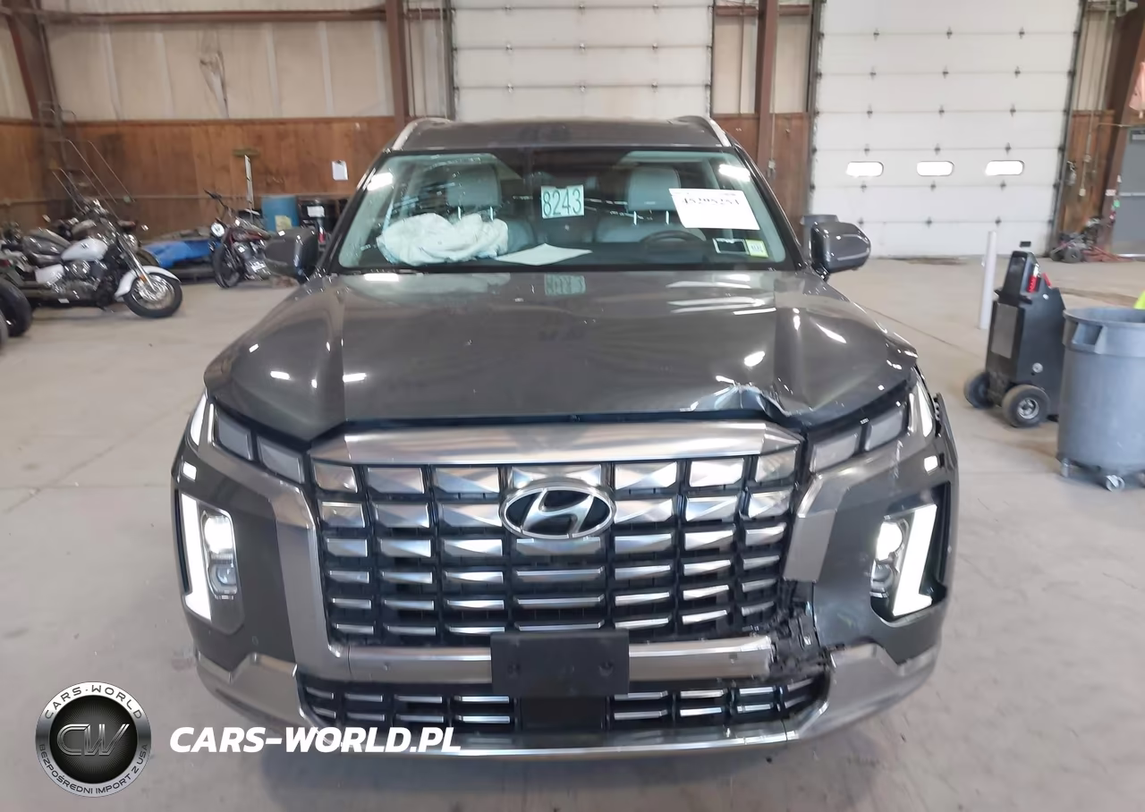 2024 Hyundai Palisade Calligraphy VIN:KM8R7DGE7RU647461 - 12