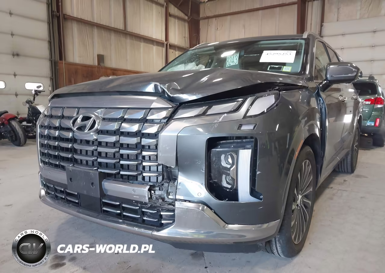2024 Hyundai Palisade Calligraphy VIN:KM8R7DGE7RU647461 - 6