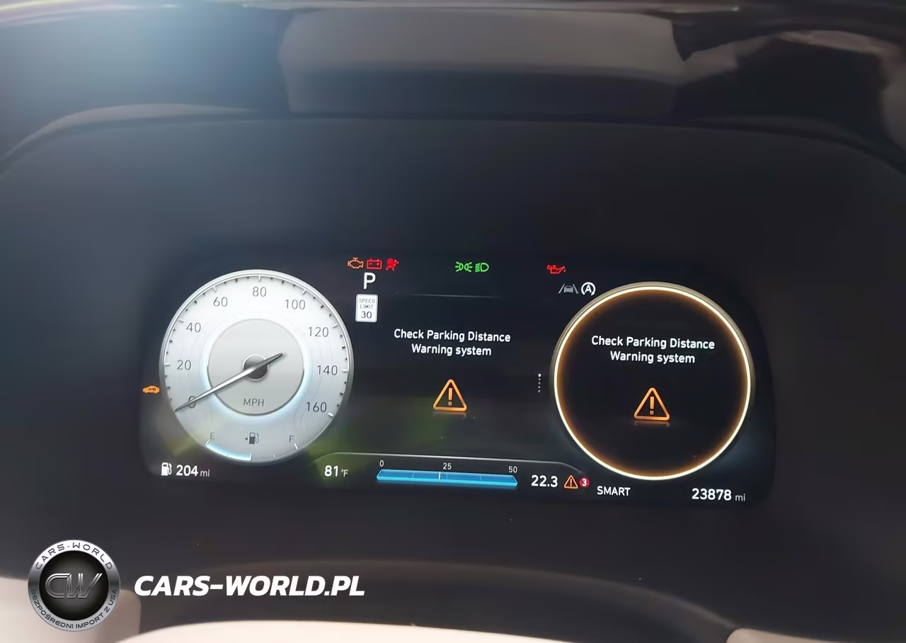 2024 Hyundai Palisade Calligraphy VIN:KM8R7DGE7RU647461 - 7