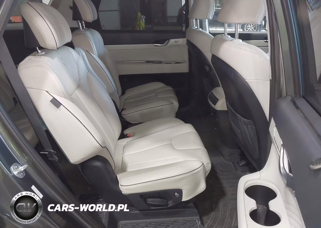 2024 Hyundai Palisade Calligraphy VIN:KM8R7DGE7RU647461 - 8