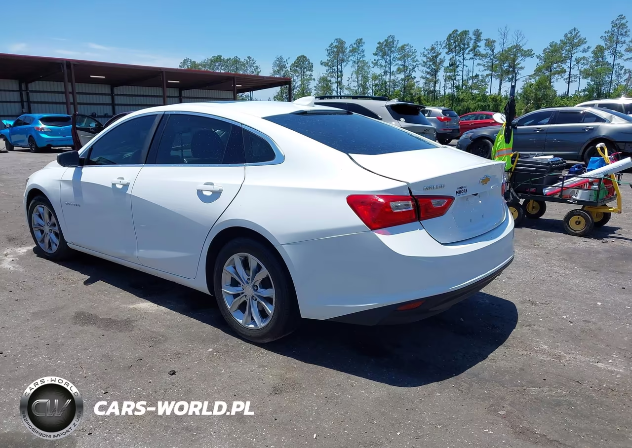 2023 Chevrolet Malibu Fwd 1Lt VIN:1G1ZD5ST8PF247914 - 3