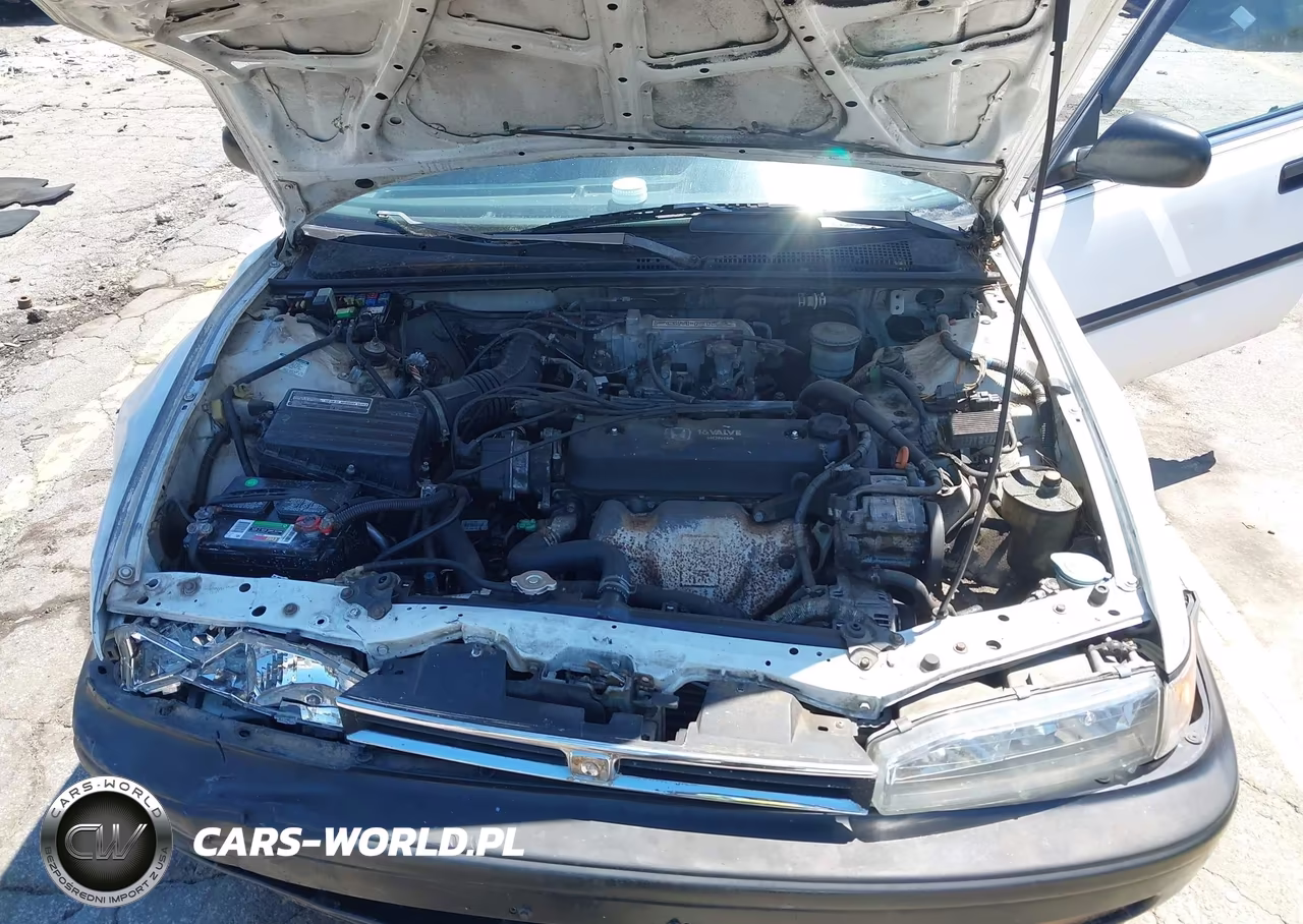 1993 Honda Accord Dx VIN:1HGCB7641PA162462 - 10