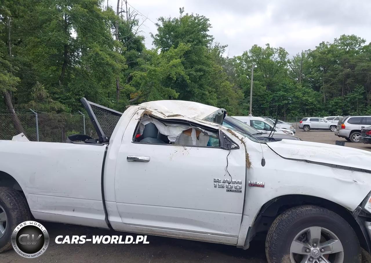 2019 Ram 1500 Classic Tradesman 4X2 8' Box VIN:3C6JR6DT7KG509333 - 18