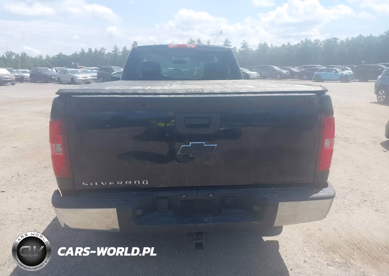 2013 Chevrolet Silverado 1500 Work Truck VIN:1GCNKPEA1DZ299557 - 17