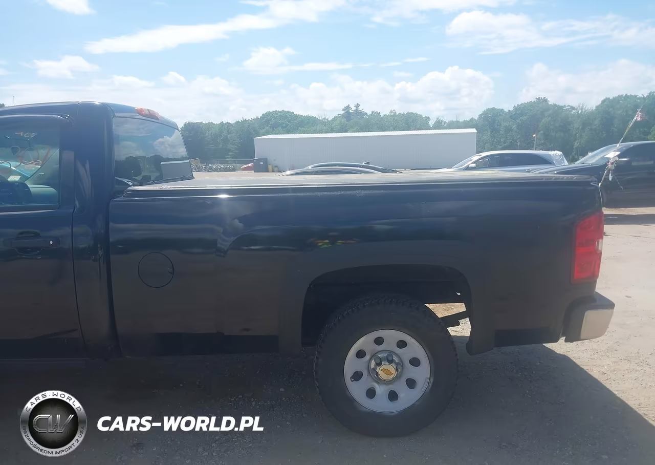 2013 Chevrolet Silverado 1500 Work Truck VIN:1GCNKPEA1DZ299557 - 19