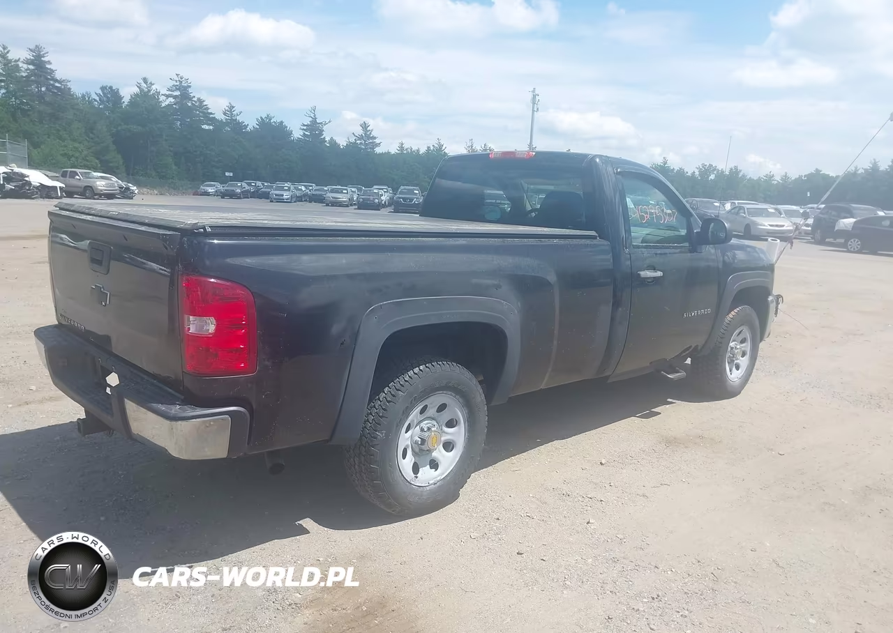 2013 Chevrolet Silverado 1500 Work Truck VIN:1GCNKPEA1DZ299557 - 4