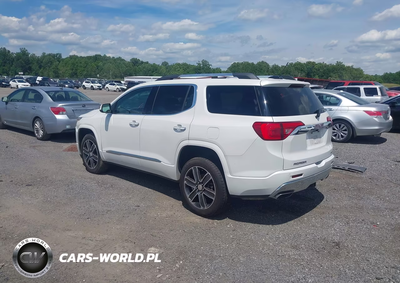 2017 GMC Acadia Denali VIN:1GKKNXLSXHZ310555 - 3