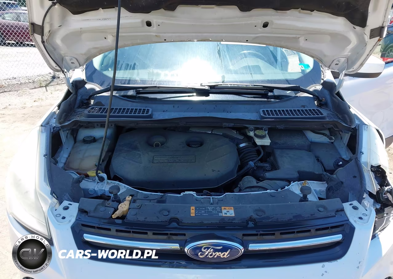 2013 Ford Escape Se VIN:1FMCU9G96DUA54701 - 10
