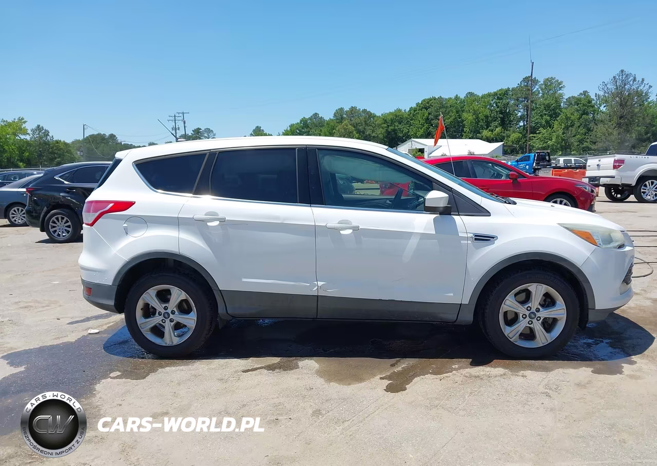 2013 Ford Escape Se VIN:1FMCU9G96DUA54701 - 13