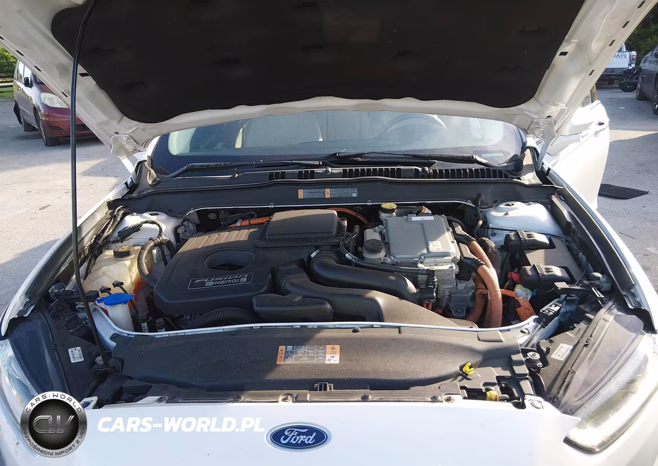 2016 Ford Fusion Energi Titanium VIN:3FA6P0SU6GR336676 - 10