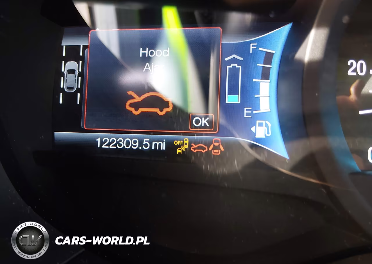 2016 Ford Fusion Energi Titanium VIN:3FA6P0SU6GR336676 - 15