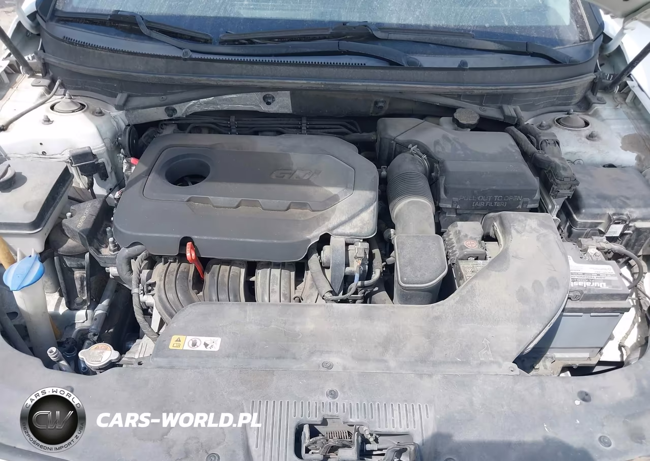 2016 Hyundai Sonata VIN:5NPE24AF3GH393466 - 10