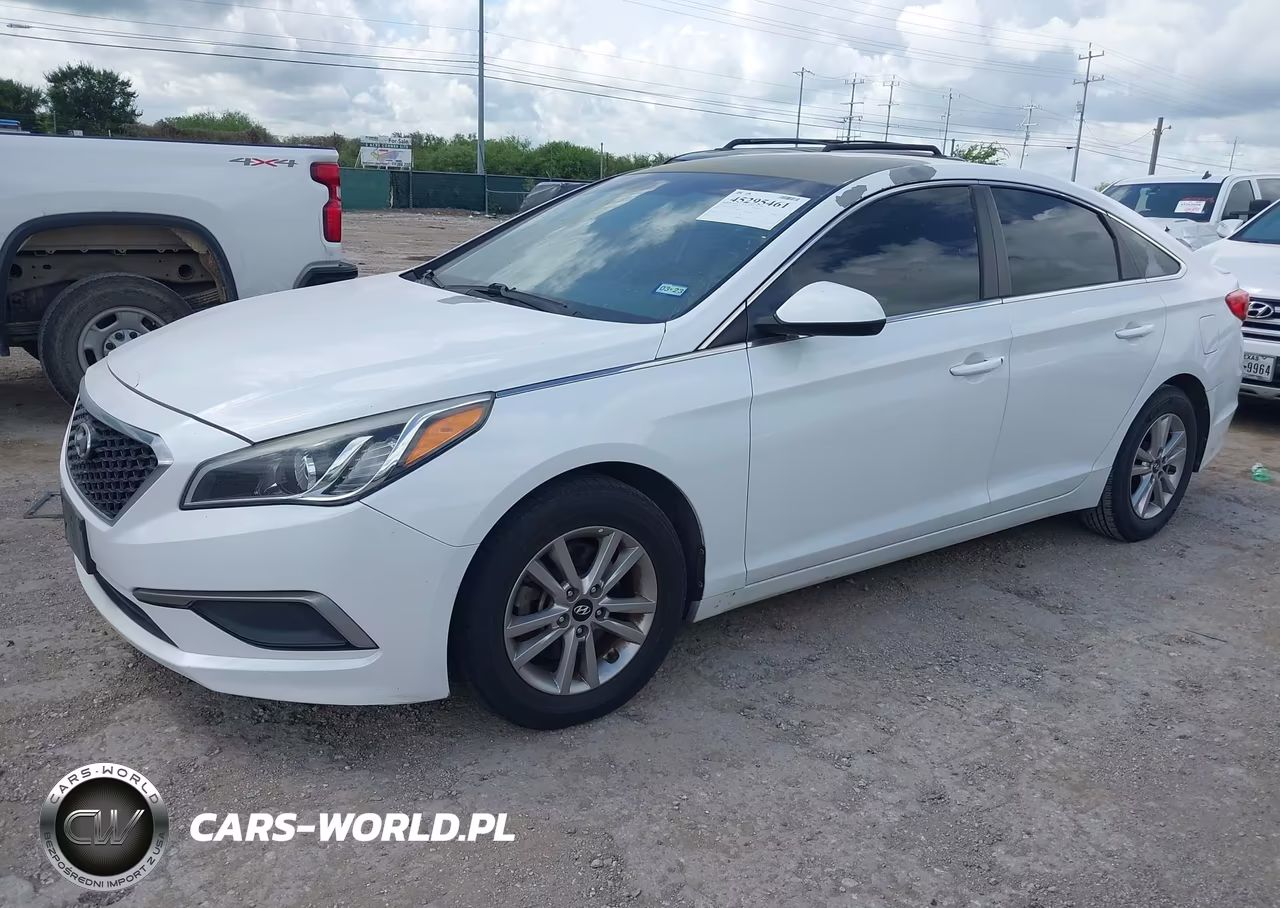 2016 Hyundai Sonata VIN:5NPE24AF3GH393466 - 2