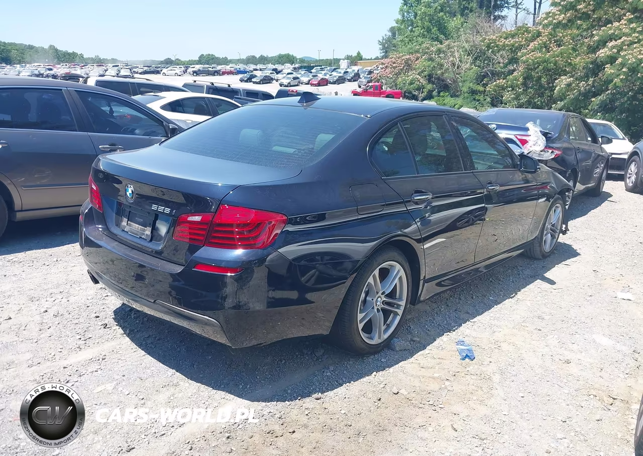 2014 BMW 528I VIN:WBA5A5C53ED507429 - 4