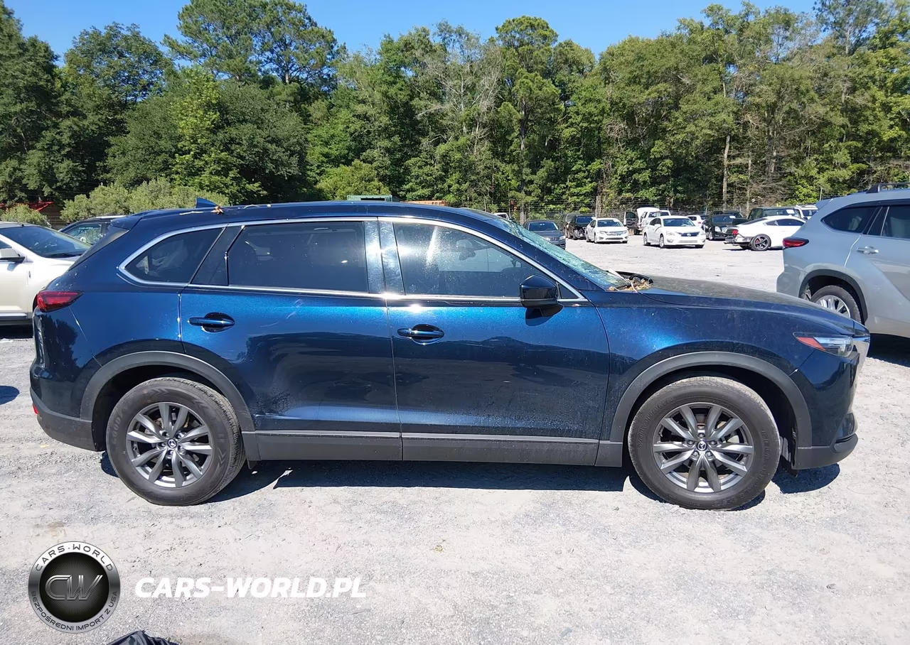 2021 Mazda Cx-9 Touring VIN:JM3TCACY8M0500478 - 13