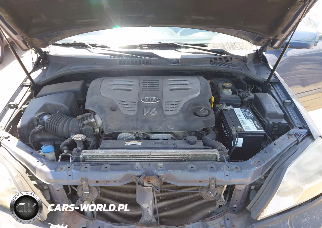 2007 Kia Sorento Ex VIN:KNDJD736075670520 - 10
