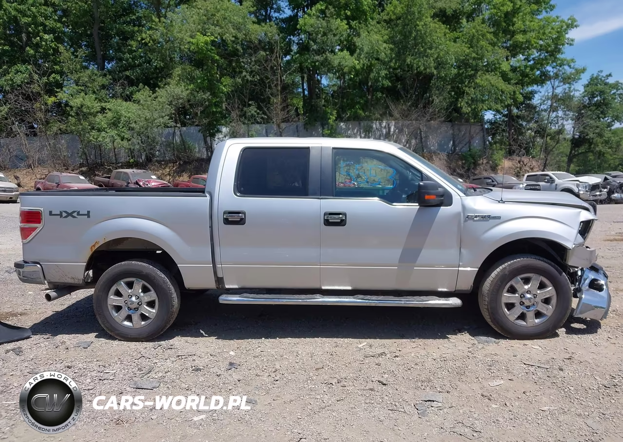 2013 Ford F-150 Xlt VIN:1FTFW1EF6DKG45399 - 13