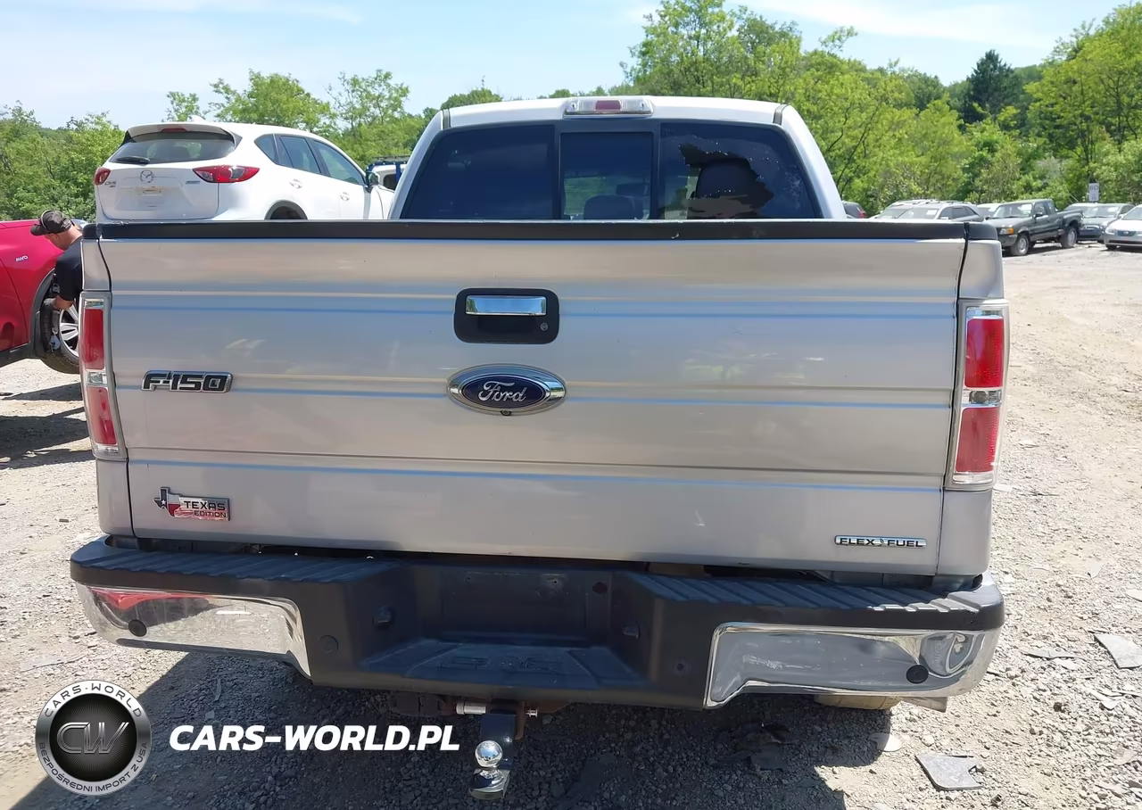 2013 Ford F-150 Xlt VIN:1FTFW1EF6DKG45399 - 16