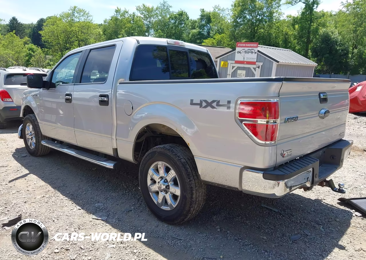 2013 Ford F-150 Xlt VIN:1FTFW1EF6DKG45399 - 3