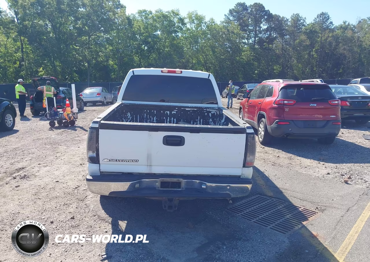 2006 Chevrolet Silverado 1500 Lt1 VIN:2GCEK13Z461297254 - 17