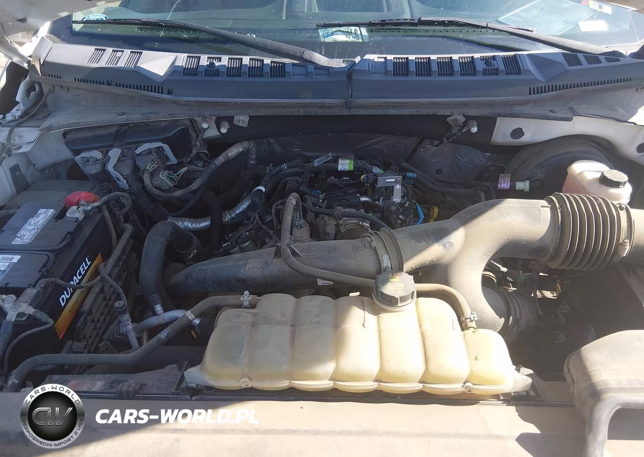 2019 Ford F-150 Xl VIN:1FTEX1CP4KKC69724 - 10